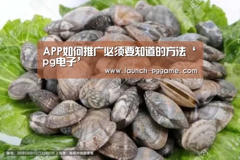 APP如何推广必须要知道的方法‘pg电子’(图3) pg电子