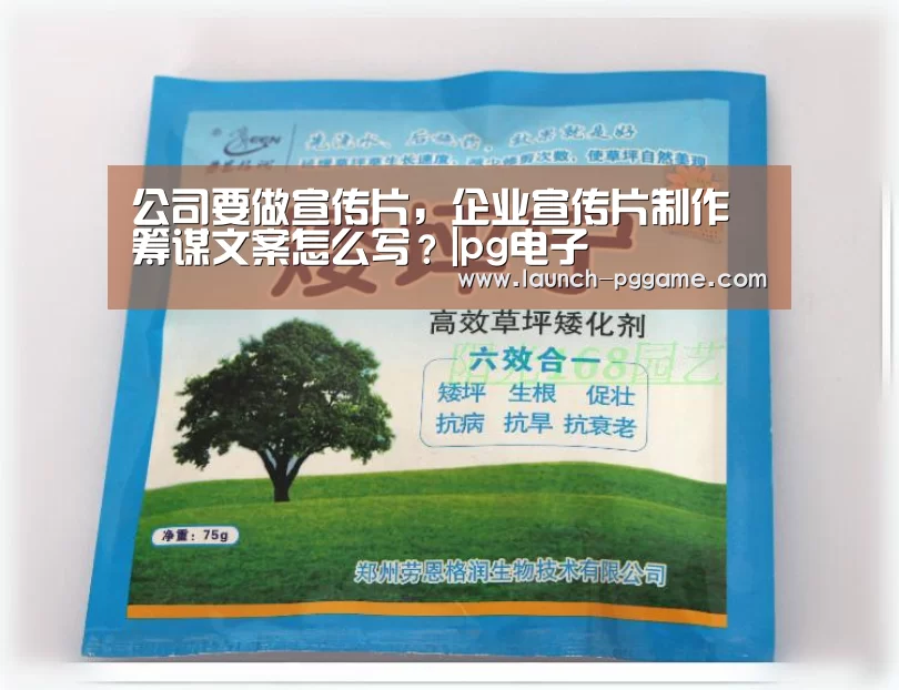 pg模拟器