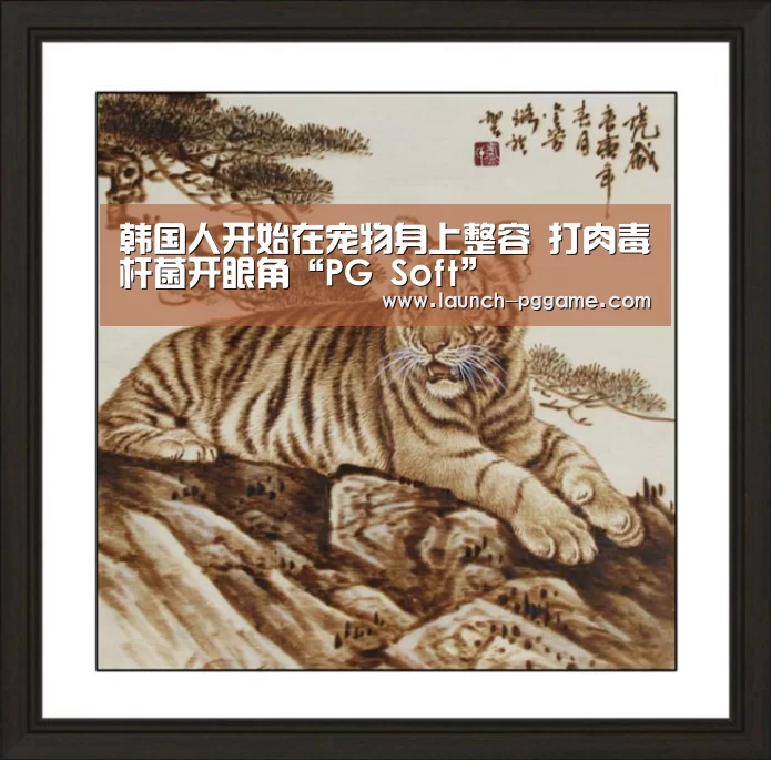 pg模拟器