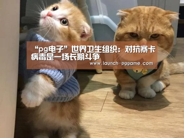 pg模拟器