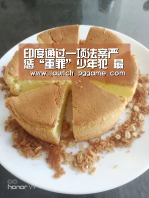 pg模拟器