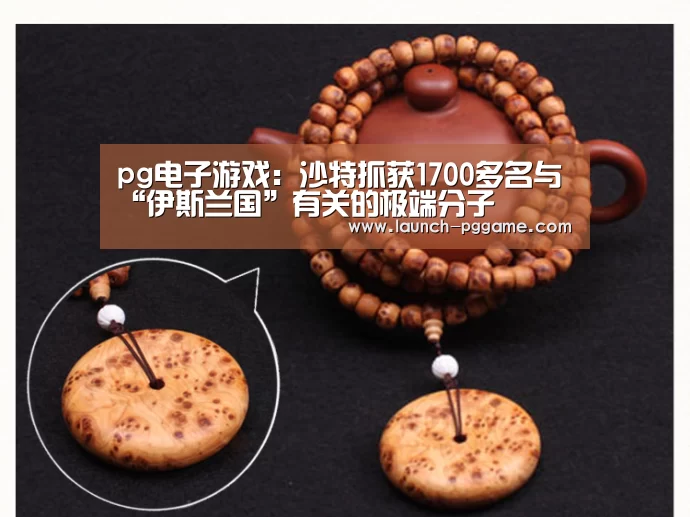 pg模拟器