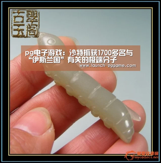 pg电子游戏