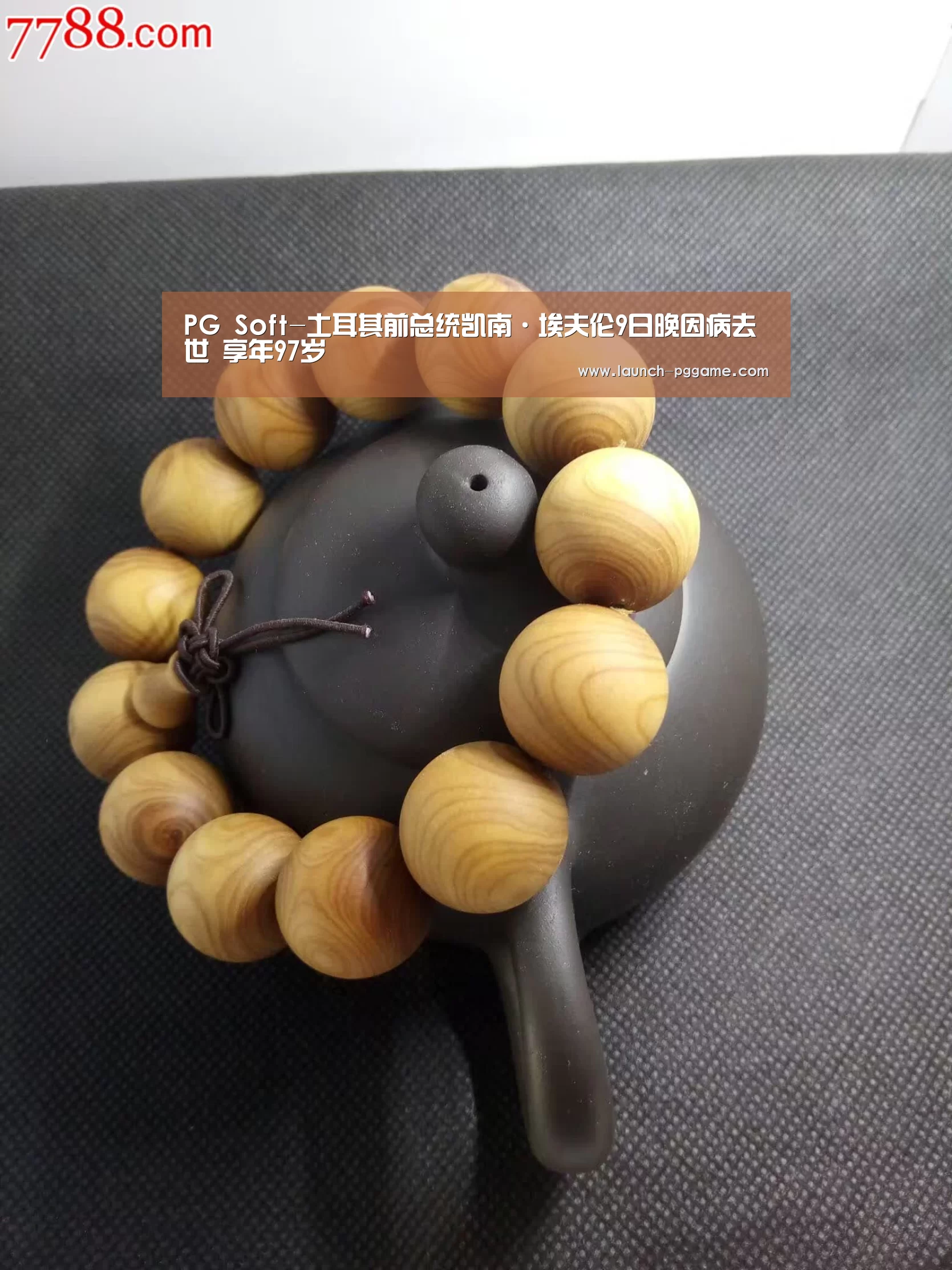 pg模拟器