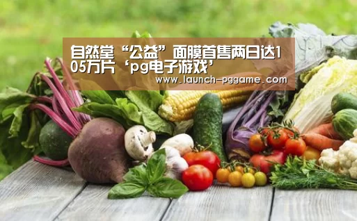 pg模拟器