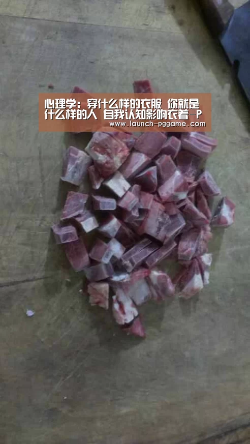 pg模拟器