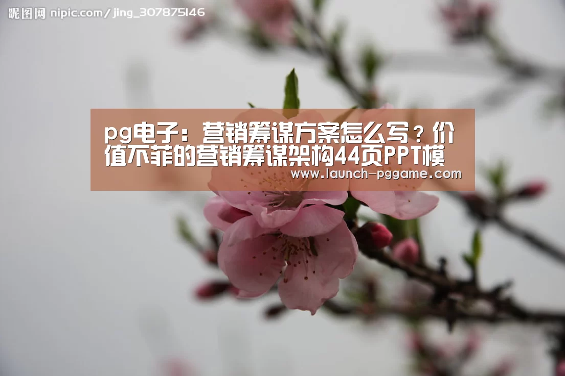pg电子