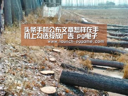 头条手机公布文章怎样在手机上勾选投放广告_pg电子(图3) pg模拟器