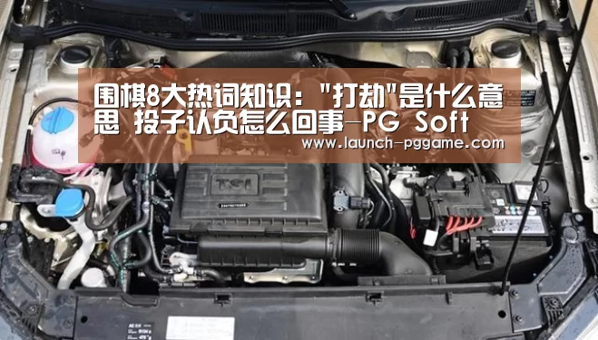 pg电子游戏