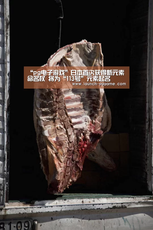 pg模拟器