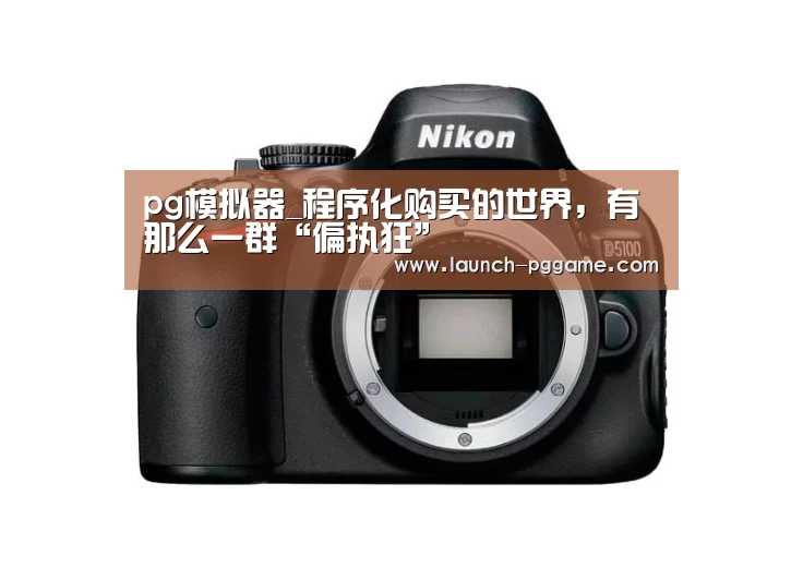 pg模拟器_程序化购买的世界,有那么一群“偏执狂”(图3) pg模拟器