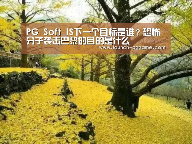 PG Soft_IS下一个目标是谁?恐怖分子袭击巴黎的目的是什么(图1) PG Soft