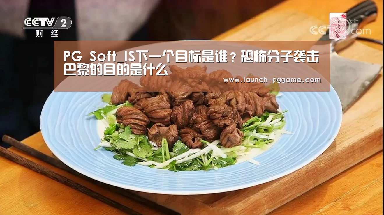 PG Soft_IS下一个目标是谁?恐怖分子袭击巴黎的目的是什么(图2) PG Soft